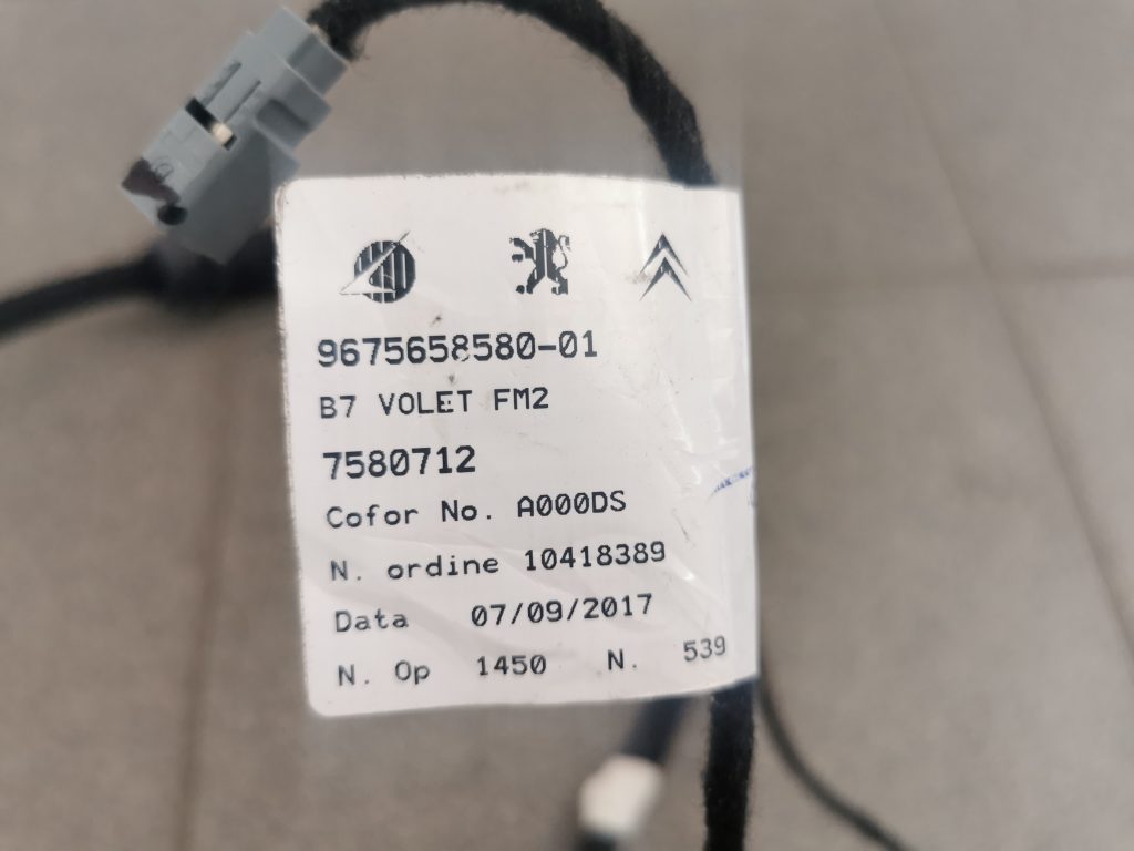 Bagažnieka vāka vadi priekš CITROEN C4 2018