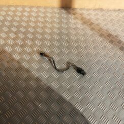 Lambda zonde priekš BMW 520D F11 2011 TOURING