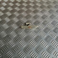 Pagrieziena signala lukturis priekš BMW 1 E87 2007 GRAPHITE