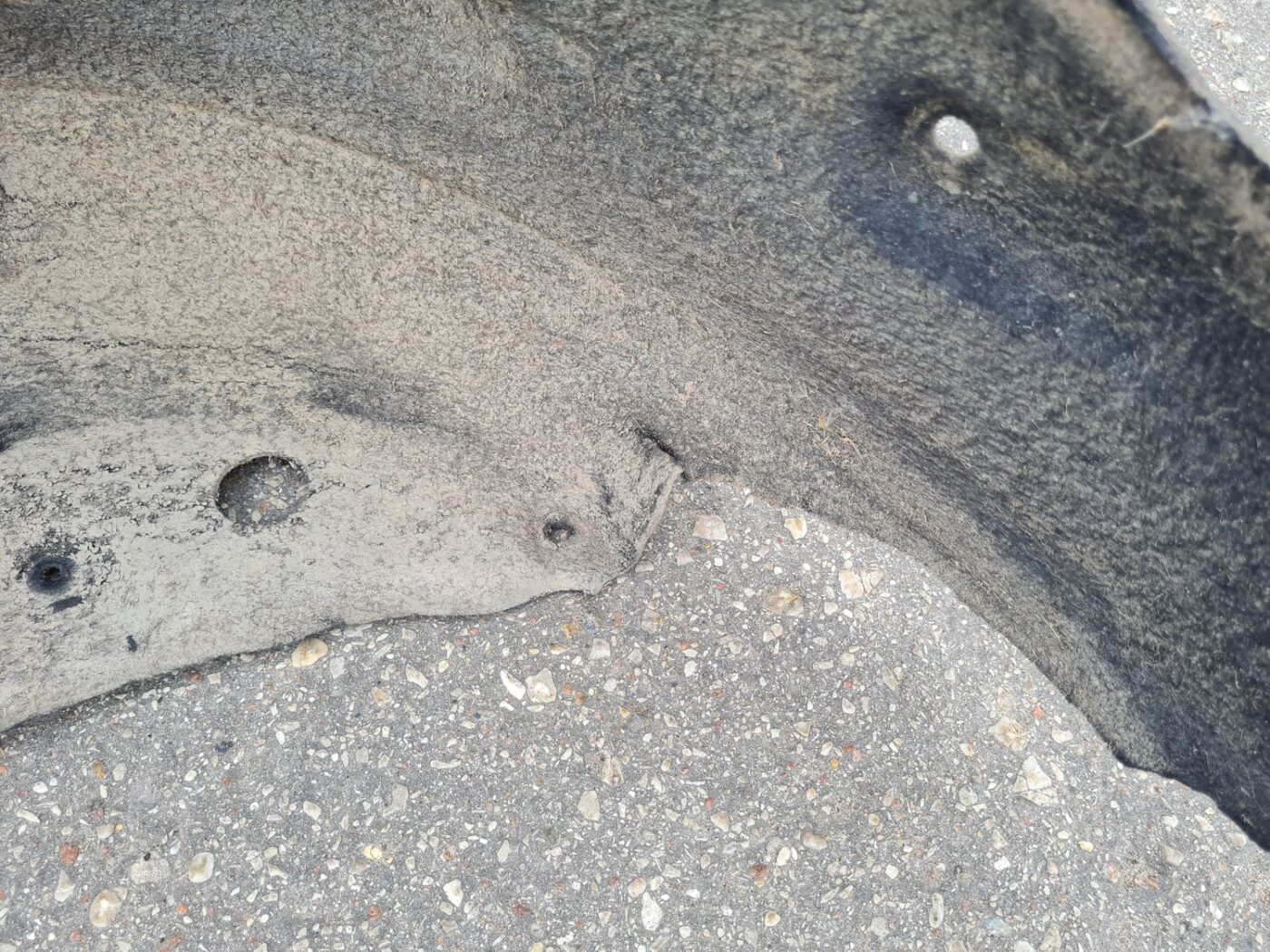 Aizmugurējais kreisais paspārns priekš TOYOTA COROLLA VERSO 2005