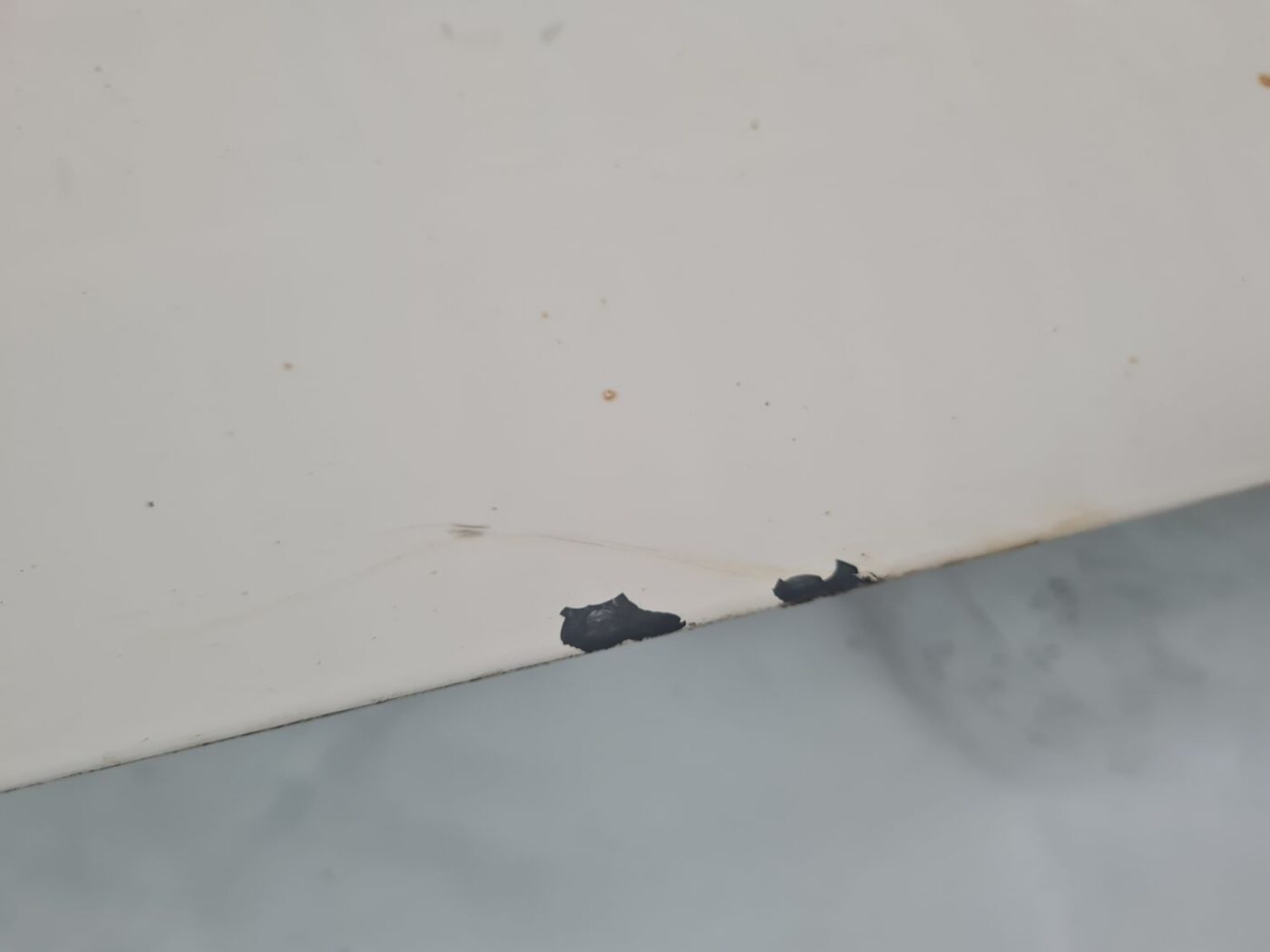 Priekšējās labās durvis priekš CITROEN BERLINGO 2014 13 Priekšējās labās durvis priekš CITROEN BERLINGO 2014