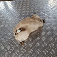 Mazgātāja šķidruma tvertne priekš FIAT STILO 2003