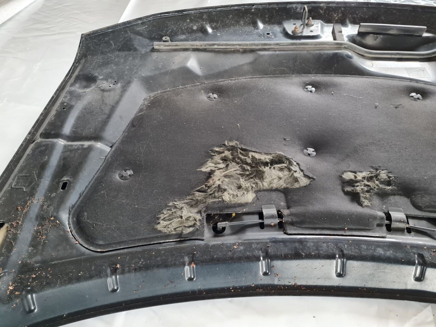 Pārsegs priekš DODGE JOURNEY 2010 13 Pārsegs priekš DODGE JOURNEY 2010