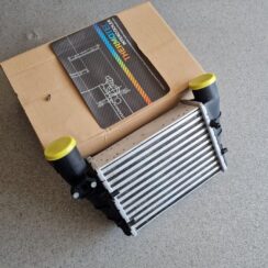 Interkūleris priekš