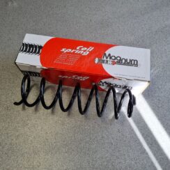 Aizmugurējā atspere priekš